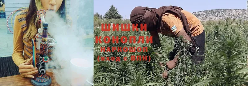 Шишки марихуана SATIVA & INDICA  купить   Зима 